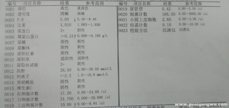 尿检报告